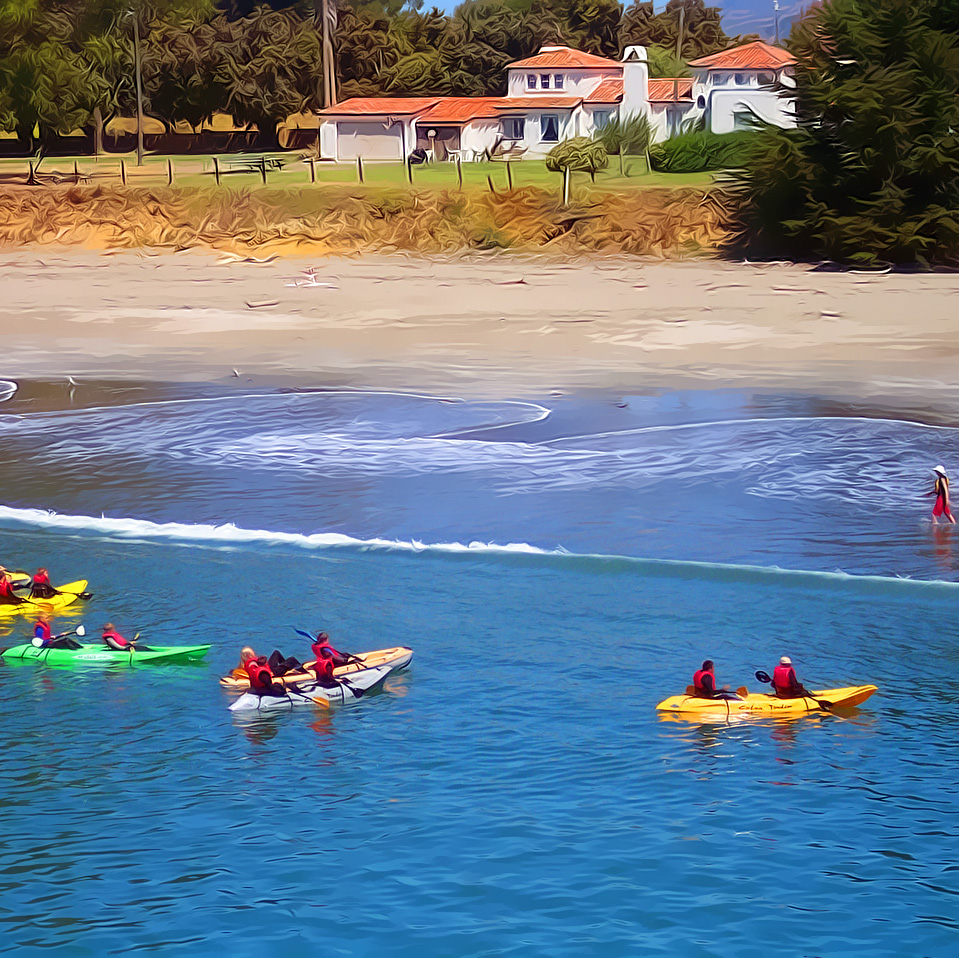 Kayak Tour