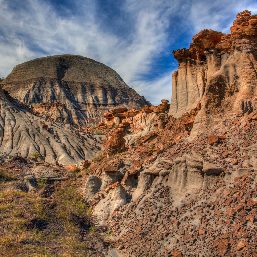 Dinosaur Fossils