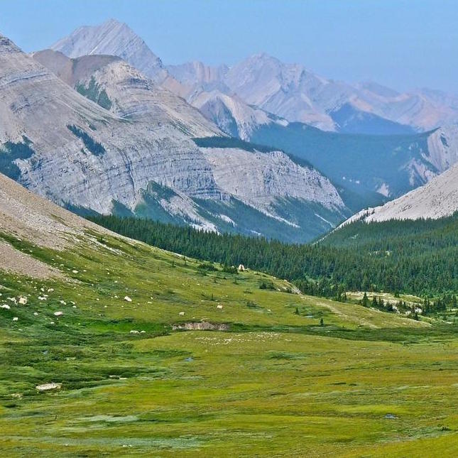 Fiddle River Valley