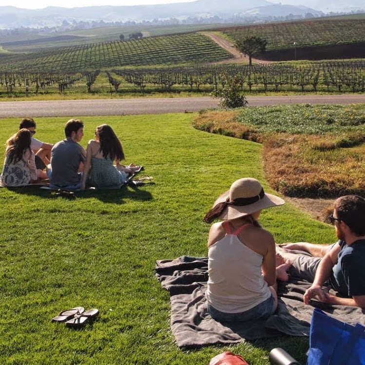 Picnic in Edna Valley