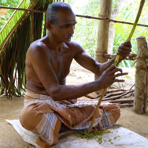 Cinnamon Processing