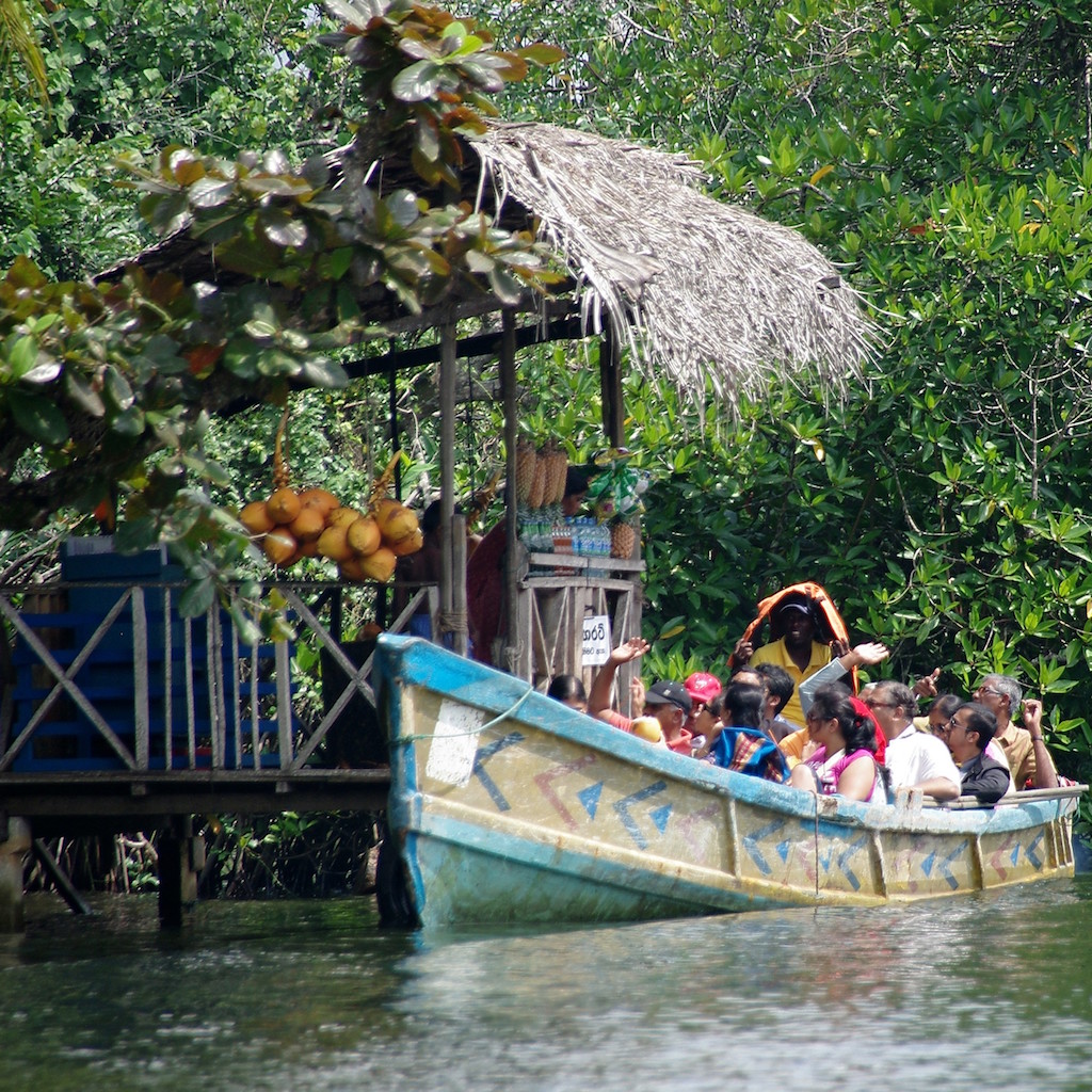 Madu River King Coconut