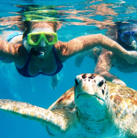 Snorkeling