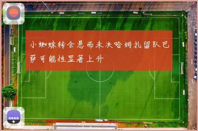 小蜘蛛转会悬而未决哈姆扎留队巴萨可能性显著上升